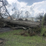 This image shows significant storm damage featuring a large tree that has been completely uprooted and fallen across what appears to be a residential area.
