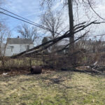 A large, fallen tree branch or trunk is leaning heavily against overhead power lines in a residential backyard setting.